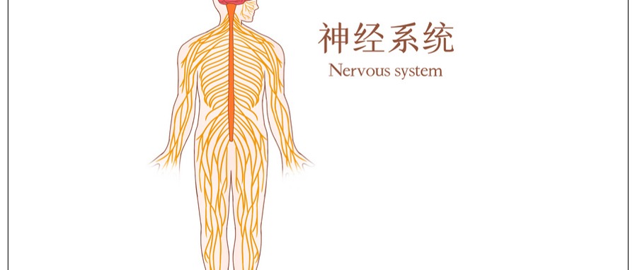 脊髓炎症